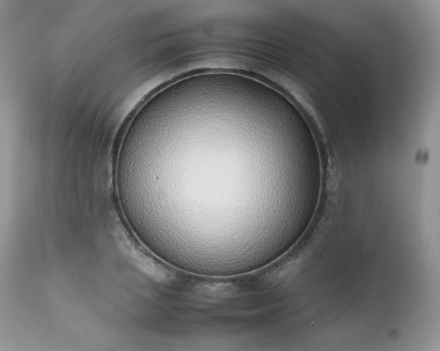 X0000111780837200907301119