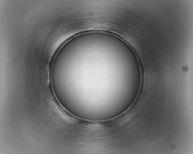 X0000111780838200907301119