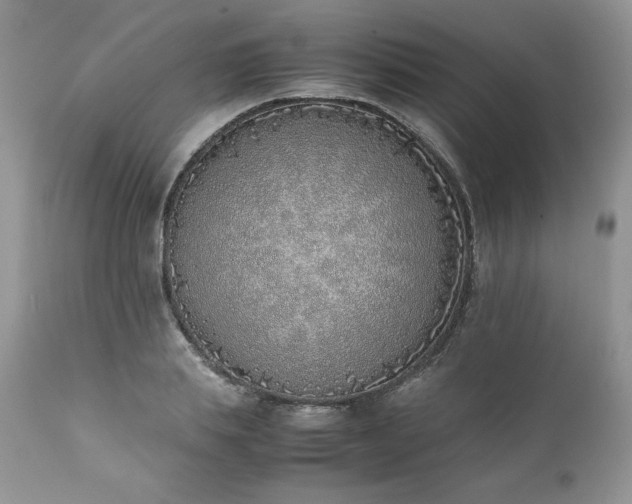 X0000111780839200907301119