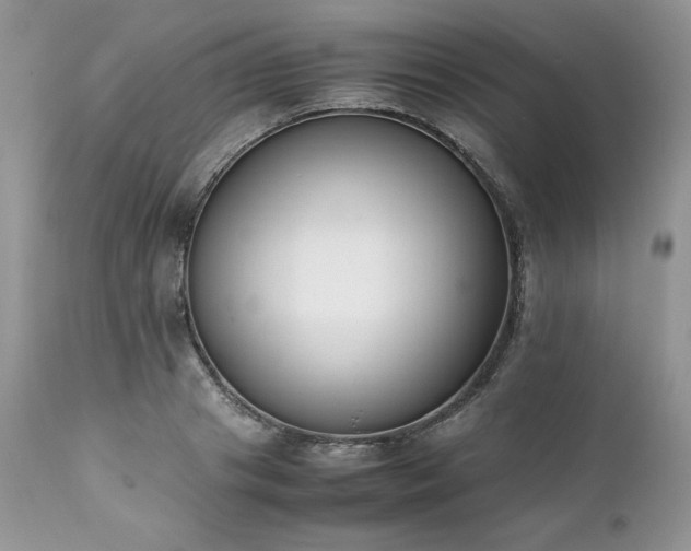 X0000111780841200907301119