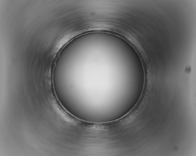 X0000111780842200907301119
