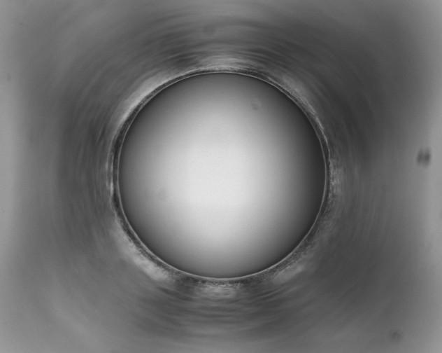 X0000111780843200907301119