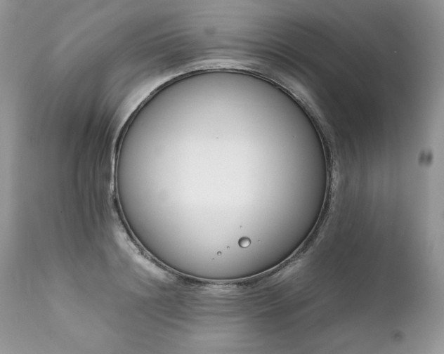 X0000111780844200907301119
