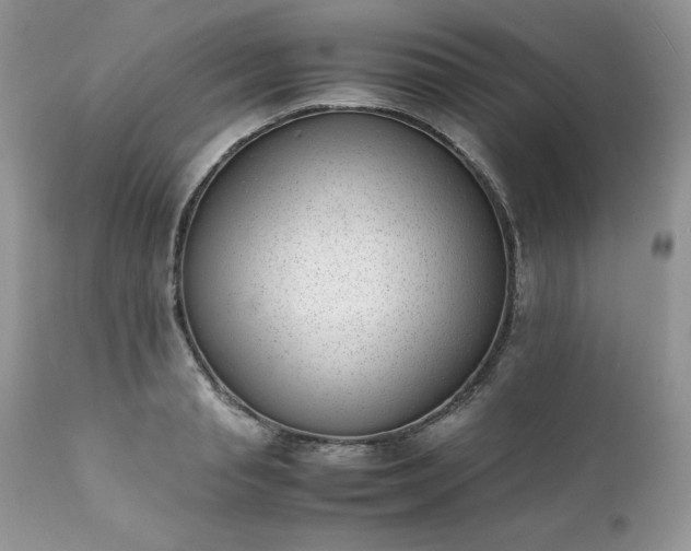 X0000111780845200907301119