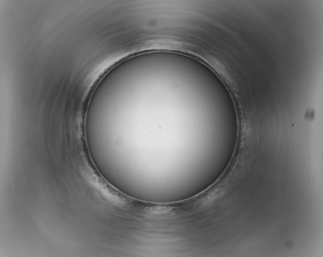 X0000111780846200907301119