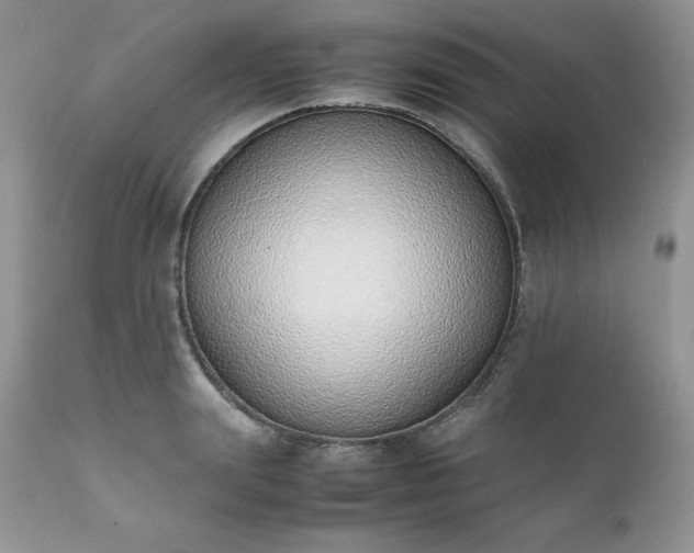 X0000111780847200907301119