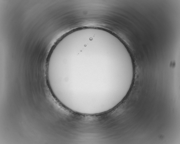 X0000111780848200907301119
