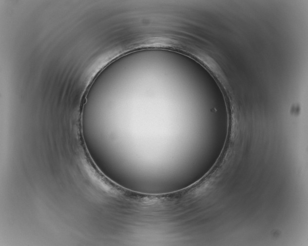 X0000111780850200907301119