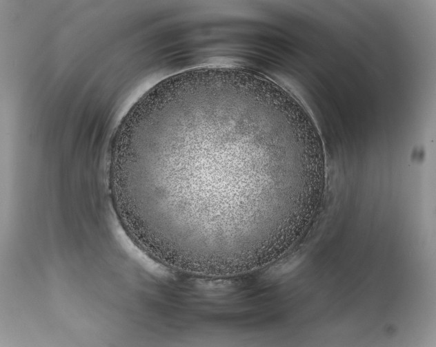 X0000111780851200907301119