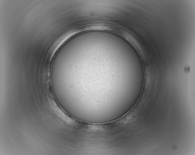 X0000111780852200907301119