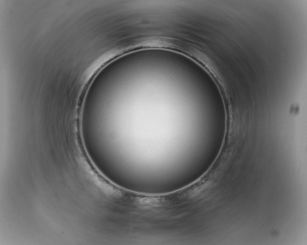 X0000111780853200907301119