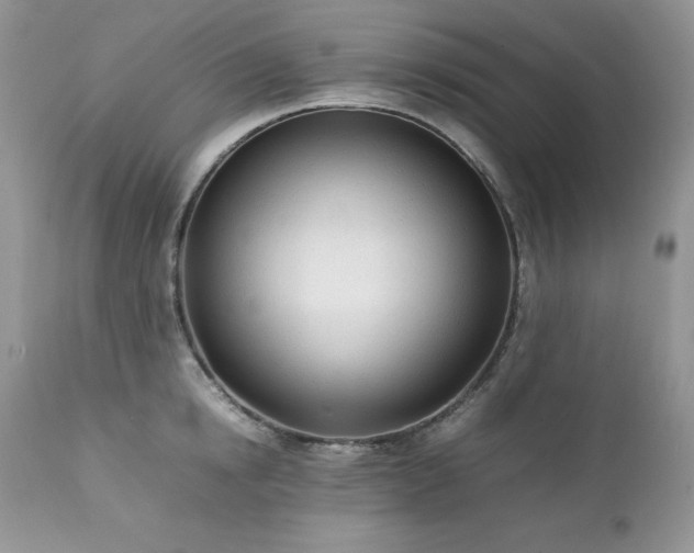 X0000111780854200907301119