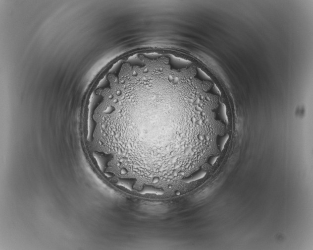 X0000111780855200907301119