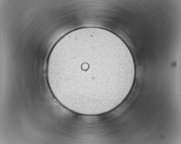 X0000111780856200907301119