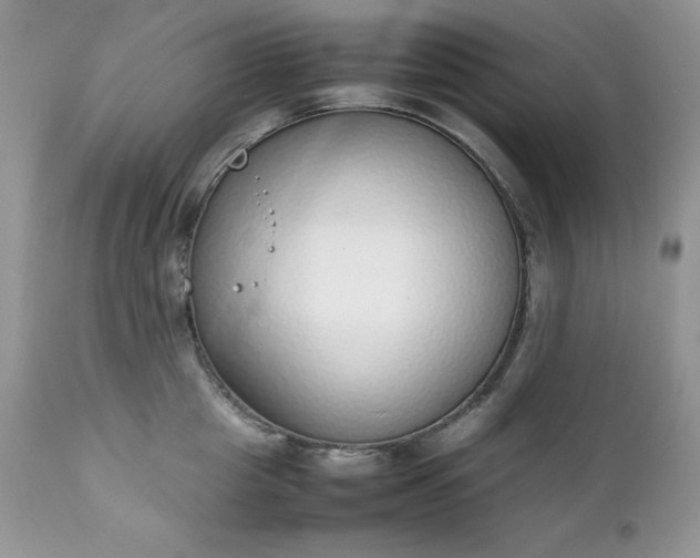 X0000111780857200907301119