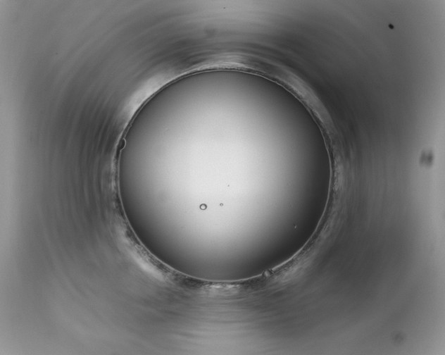 X0000111780858200907301119