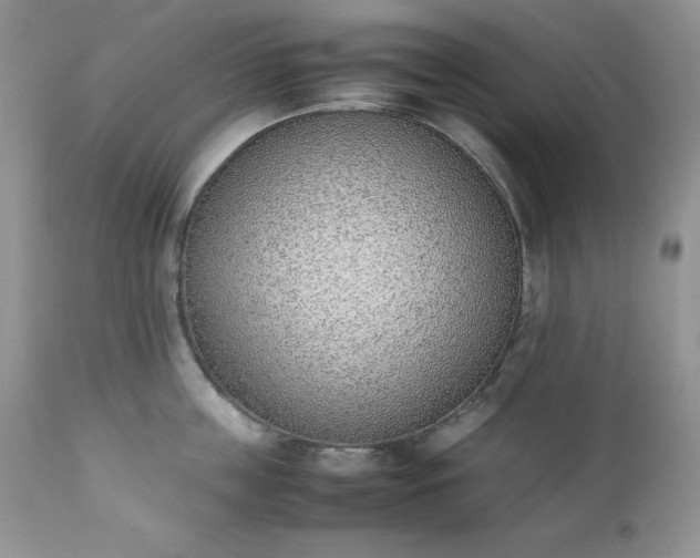 X0000111780859200907301119
