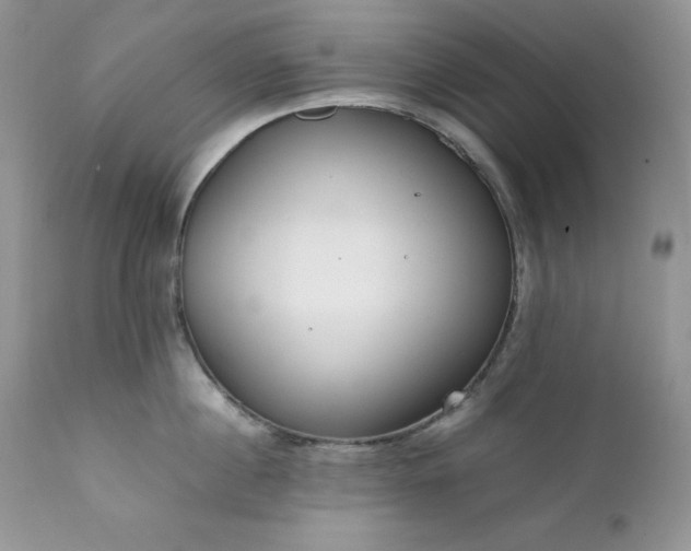 X0000111780860200907301119
