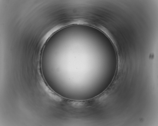 X0000111780861200907301119