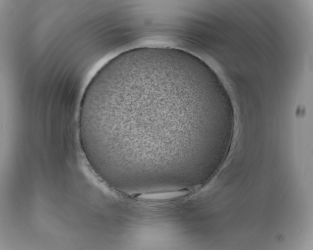 X0000111780864200907301119