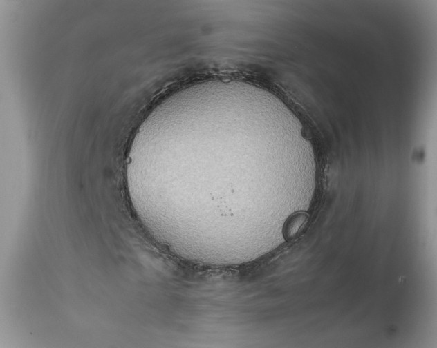 X0000111780865200907301118