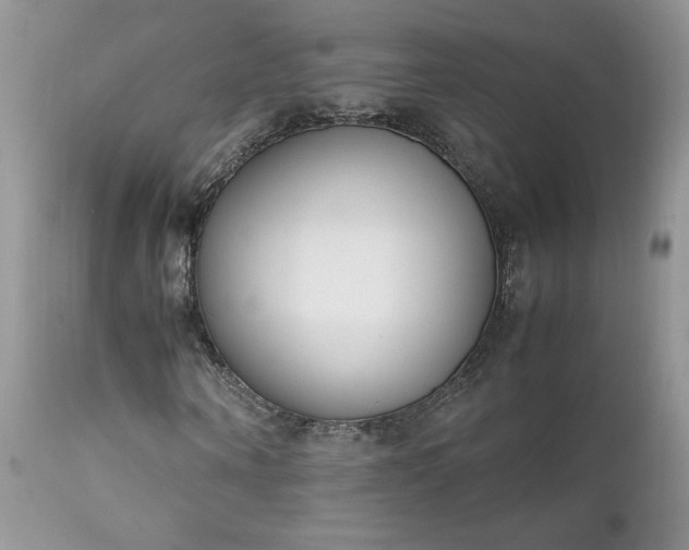 X0000111780866200907301118
