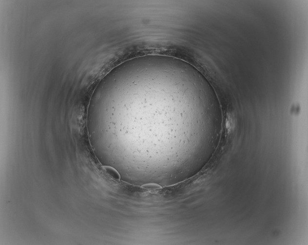 X0000111780867200907301118