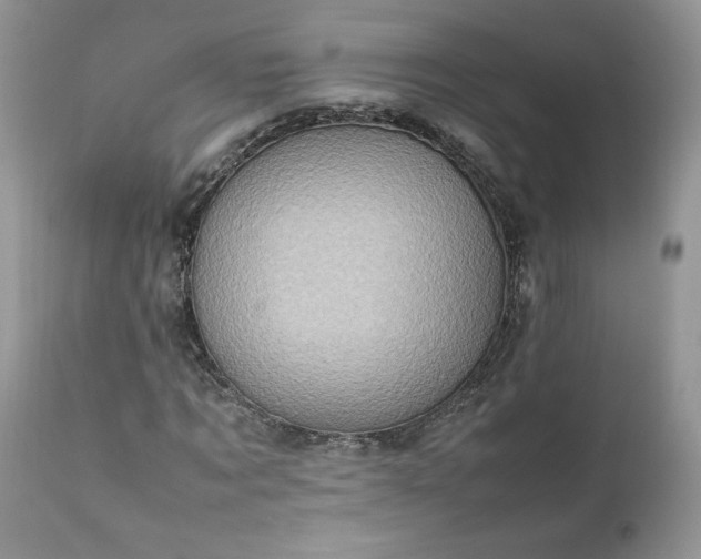 X0000111780869200907301118