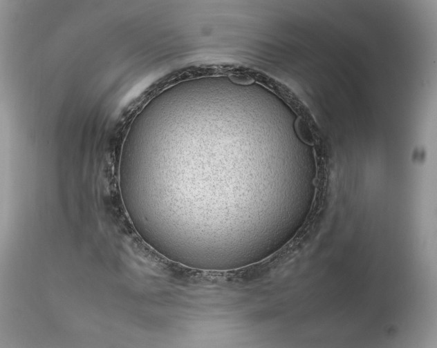 X0000111780871200907301118