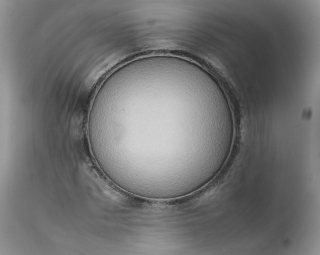 X0000111780873200907301118