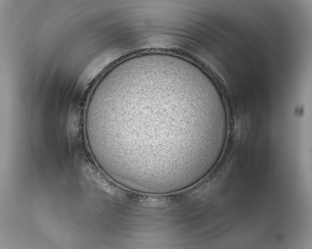 X0000111780874200907301118