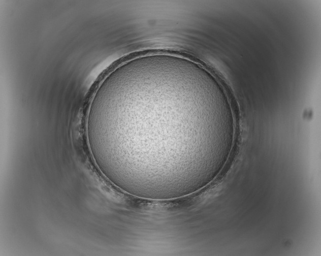 X0000111780875200907301118