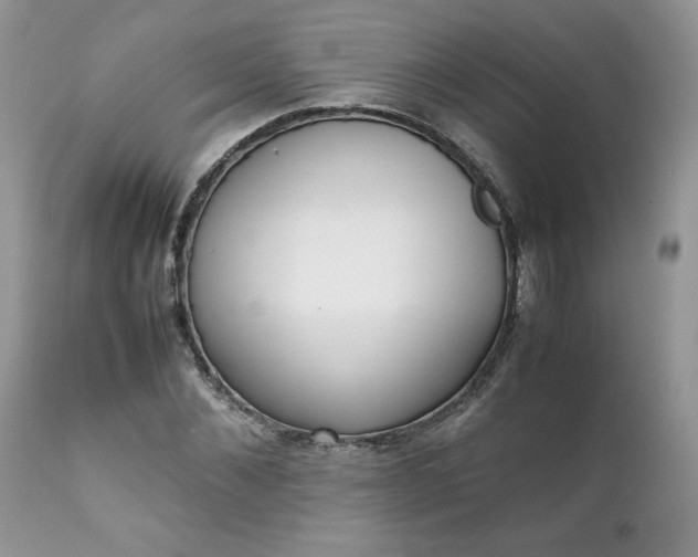 X0000111780876200907301118