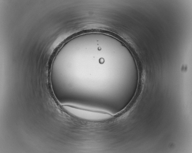 X0000111780877200907301118