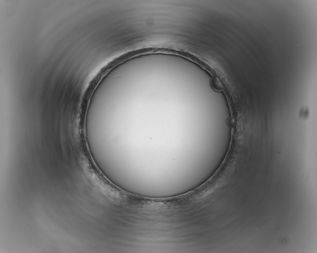 X0000111780880200907301118