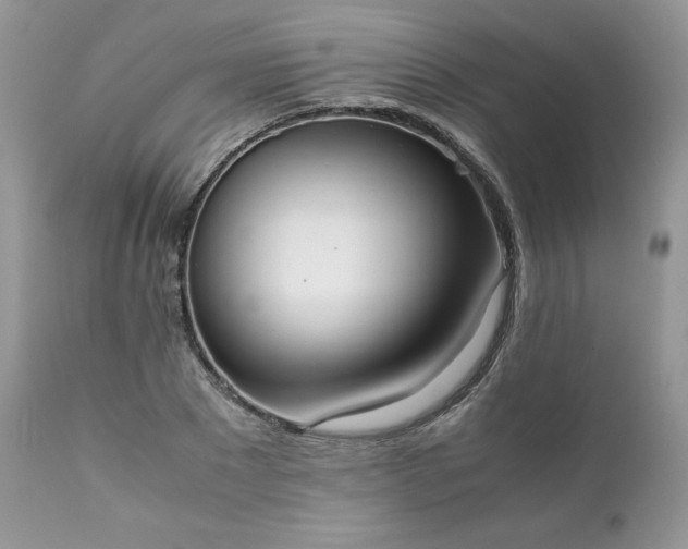 X0000111780881200907301118