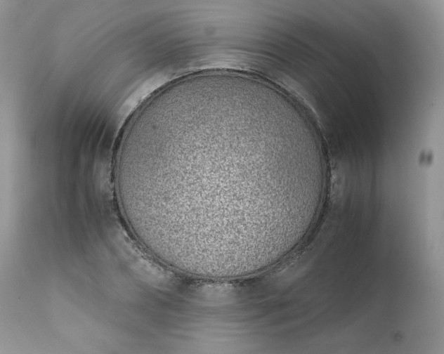 X0000111780882200907301118