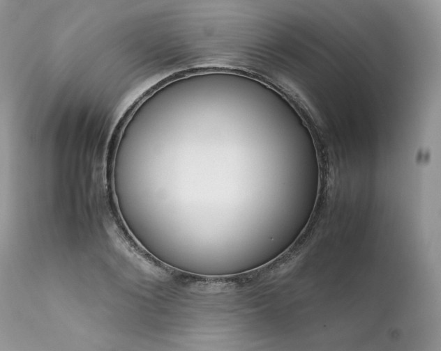 X0000111780884200907301118