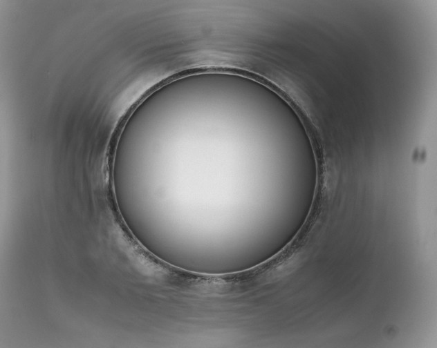 X0000111780885200907301118