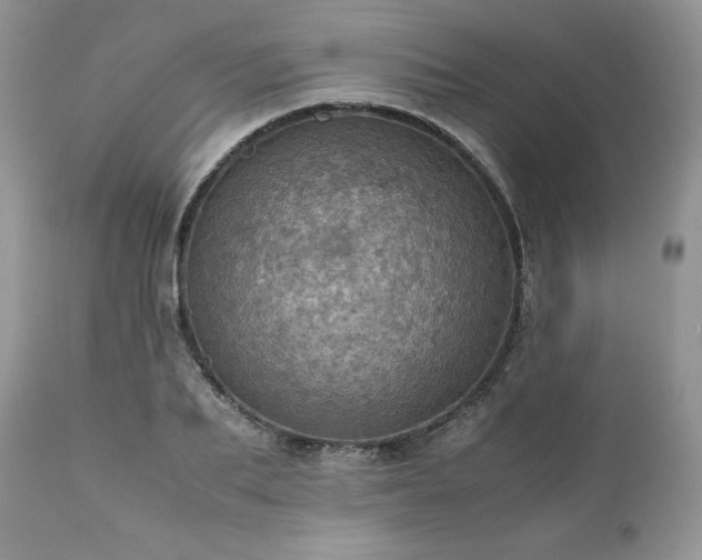 X0000111780887200907301118