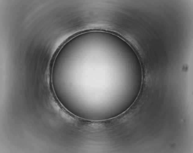 X0000111780888200907301118