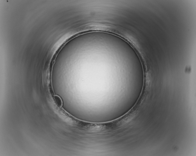 X0000111780891200907301118