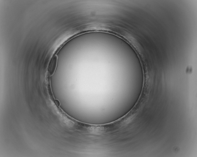 X0000111780893200907301118