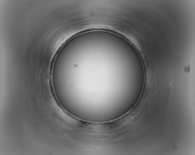 X0000111780895200907301118