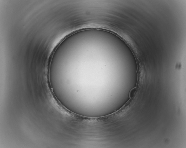 X0000111780896200907301118