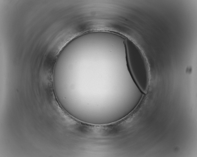 X0000111780897200907301118