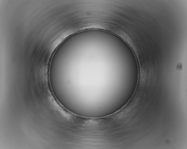 X0000111780898200907301118