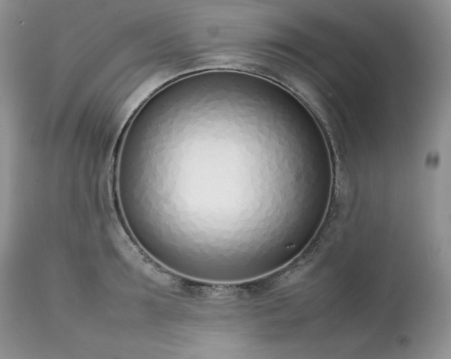 X0000111780899200907301118