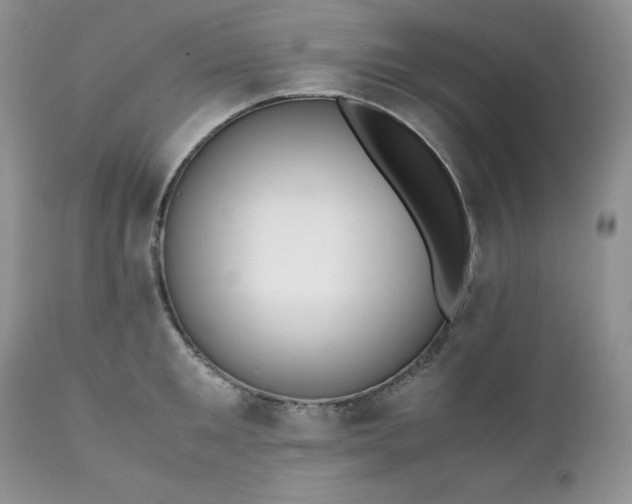 X0000111780901200907301118