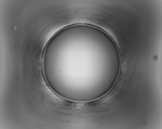 X0000111780903200907301118